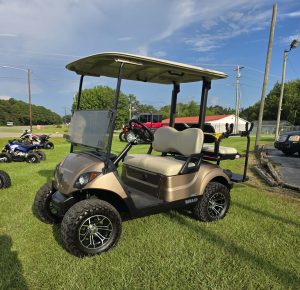 Yamaha Electric Golf Cart – 48 Volt DC Drive Hight Output