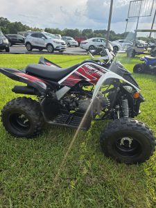 Yamaha Raptor 90 Youth